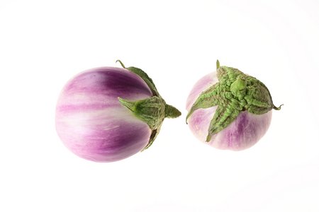 Bianca Rotonda Sfumata di Rosa