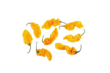 7 Pot Chaguanas Yellow