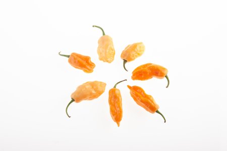 Bhut Jolokia Peach