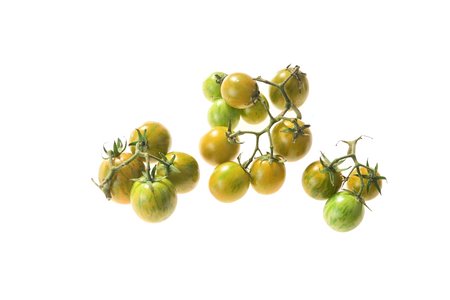 Green Zebra Cherry