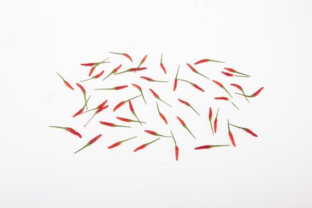 Piri Piri