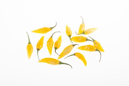 Aji Mochero