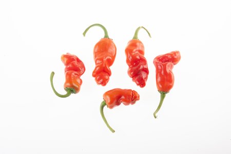 Peter Pepper Red
