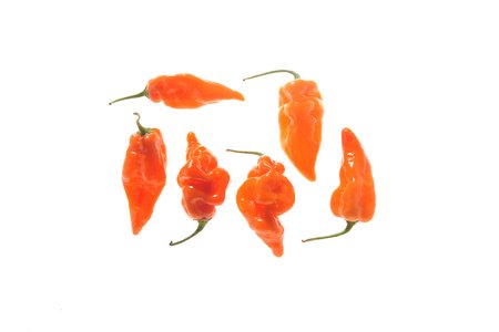 Habanada