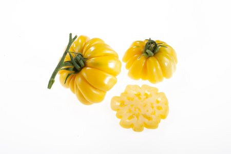 Yellow Stuffer