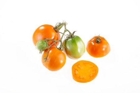 Russian Persimmon