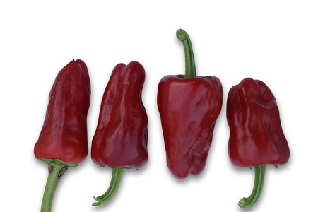 Türkischer Gewürzpaprika