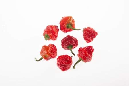 Jamaican Red Hot