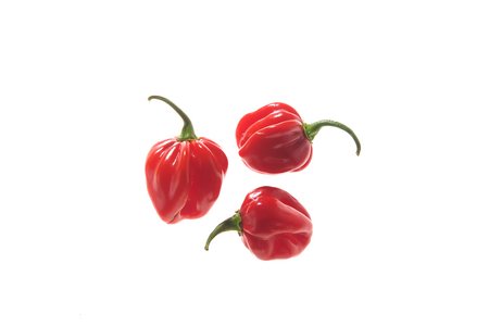 Habanero Gambia
