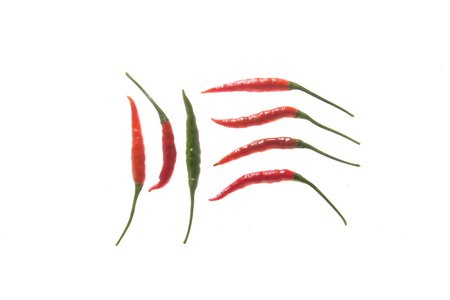 Capai Chili Tree