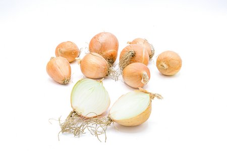 Dorata di Parma