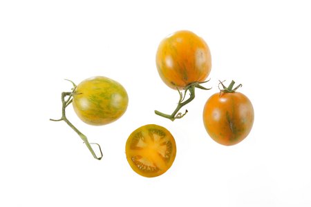 Orangegrünes Zebra