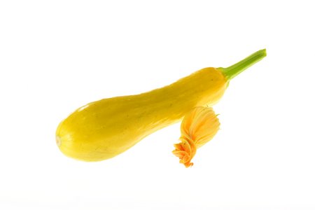 Jaune a Col Lisse