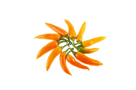 Bulgarische Karotte