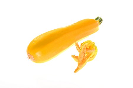 Daisy (Selection Sativa)