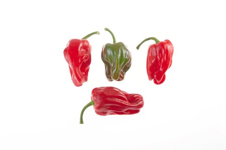 Criolla de Cocina