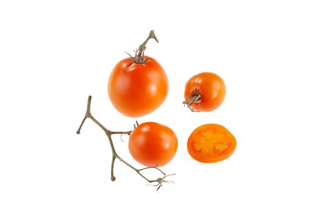 Marillenparadeis