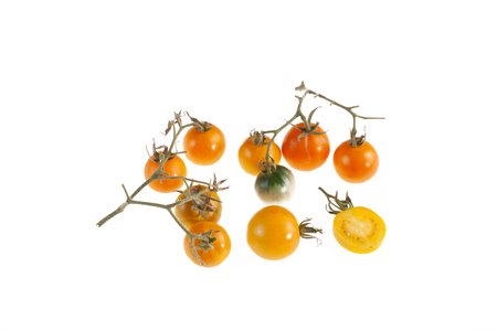 Marizol Gold Cherry