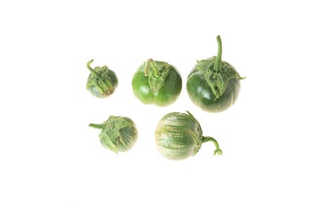 Lao Green Stripe
