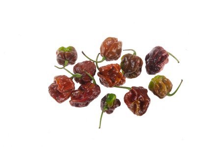 7 Pot Congo Chocolate