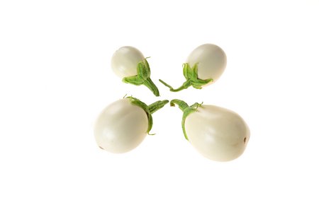Oeuf Blanc