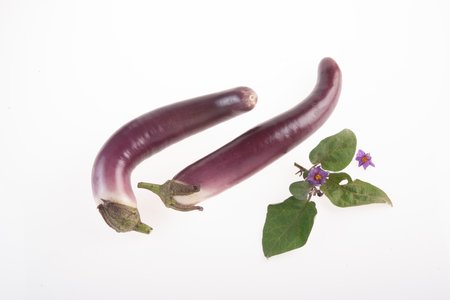 Japanese Pickling