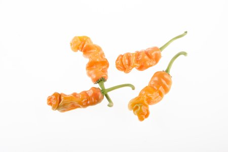 Peter Pepper Orange