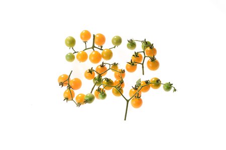 Mirabella