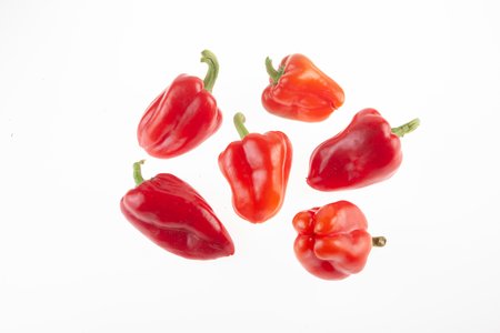 Ruby Giant