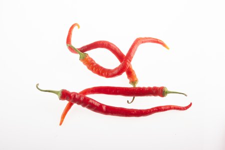Large Cayenne