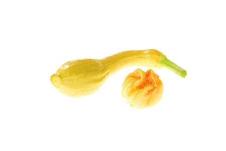 Jaune a Col Crookneck