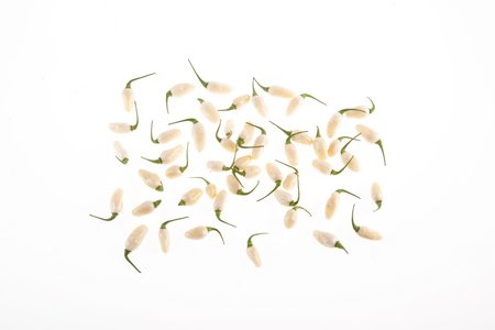 Habanero Peruvian White