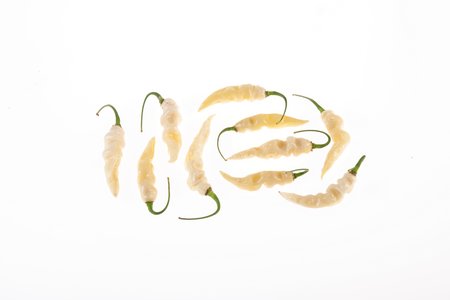 Murupi