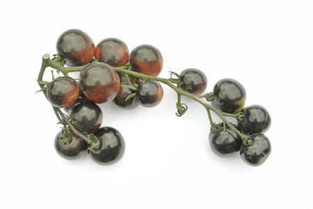 Indigo Cherry Drops