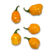 Aji Dulce Amarillo