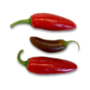 Jalapeño