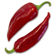 Kapia